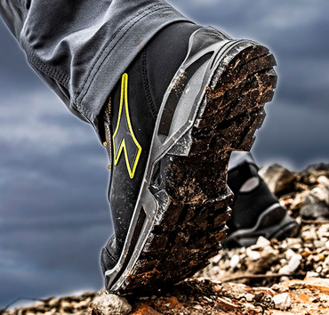 PECOL-vend-un-large-catalogue-de epis au-Maroc